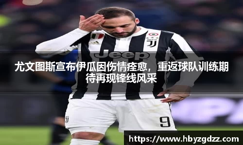 完美体育在线入口官网