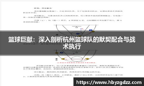 完美体育官网