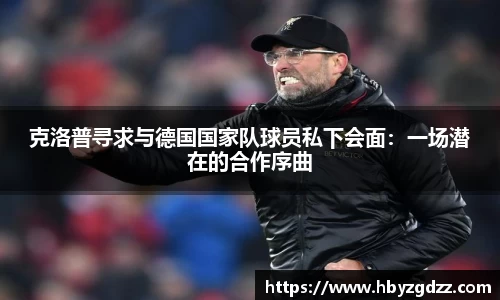 完美体育官网