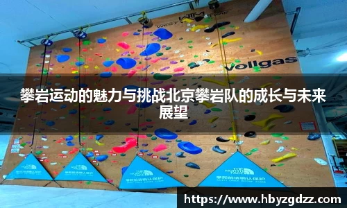完美体育官网