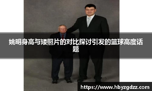 完美体育app下载安装