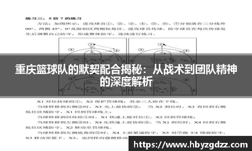 完美体育官网