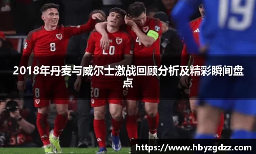 2018年丹麦与威尔士激战回顾分析及精彩瞬间盘点