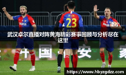 武汉卓尔直播对阵黄海精彩赛事回顾与分析尽在这里